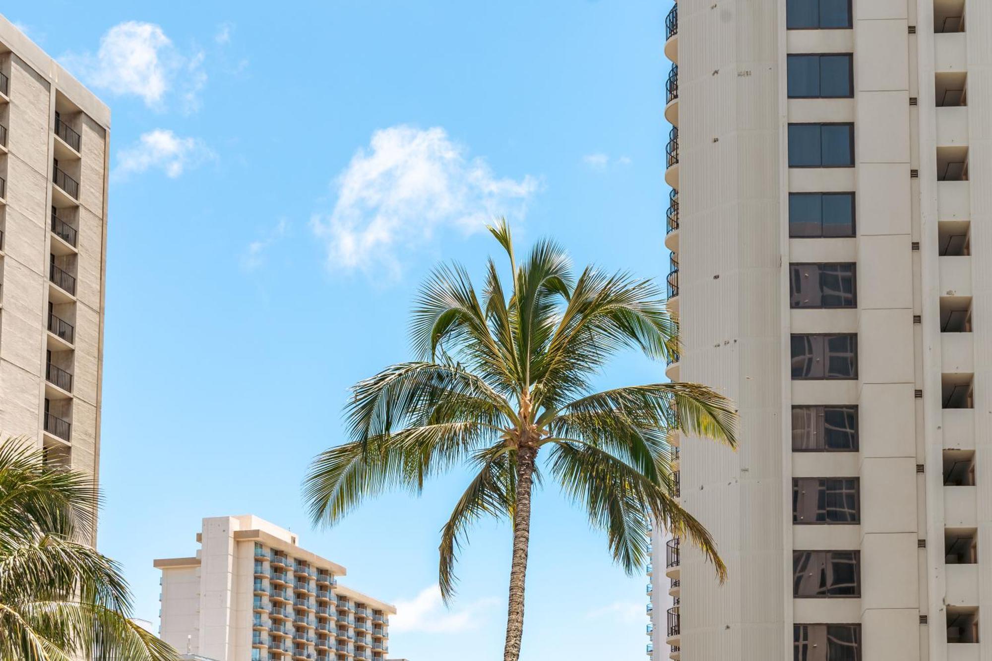 Waikiki Escapade Mountain Views Condo, Steps To Beach With Parking Perk Χονολουλού Εξωτερικό φωτογραφία