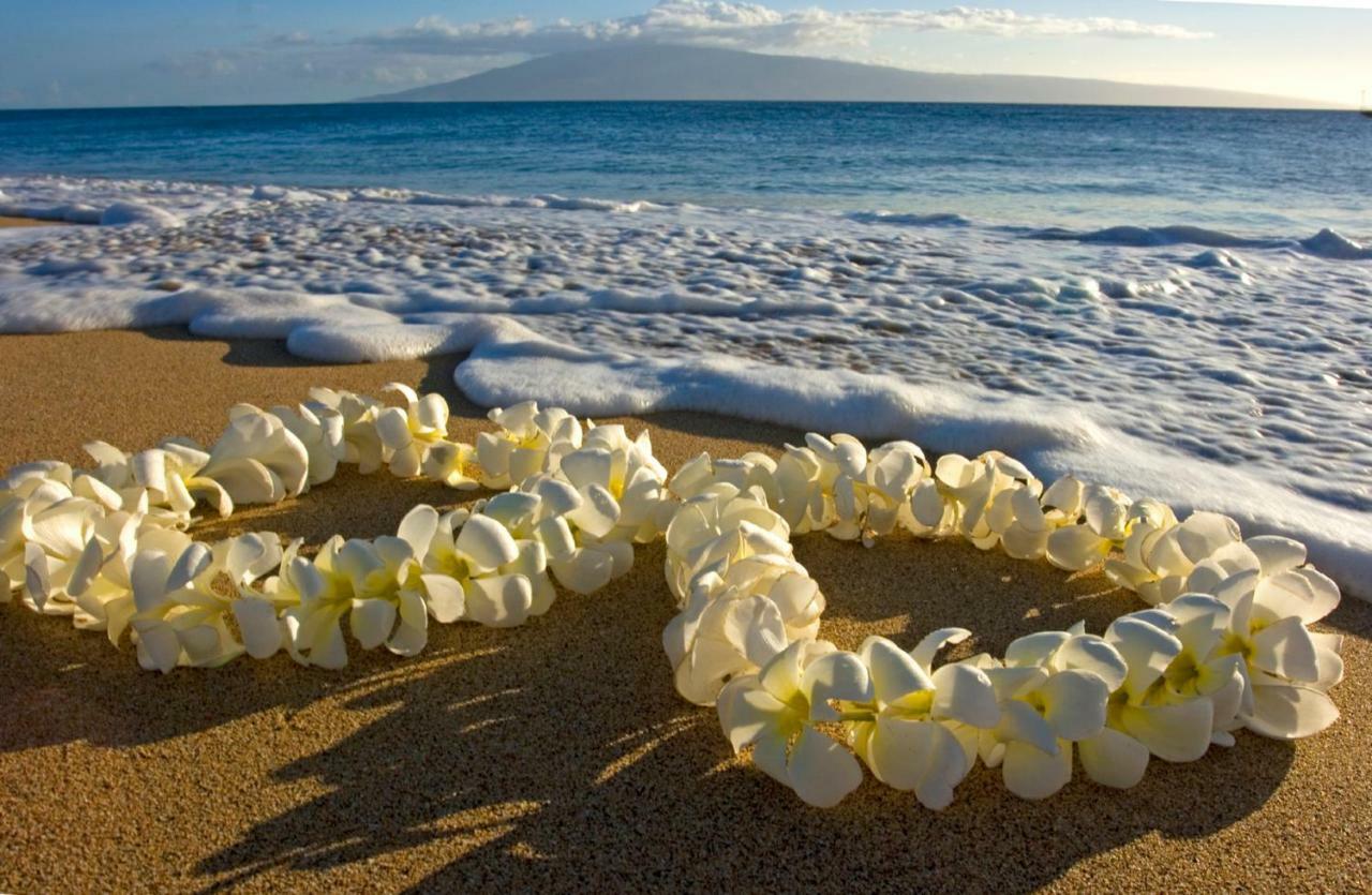 Waikiki Escapade Mountain Views Condo, Steps To Beach With Parking Perk Χονολουλού Εξωτερικό φωτογραφία